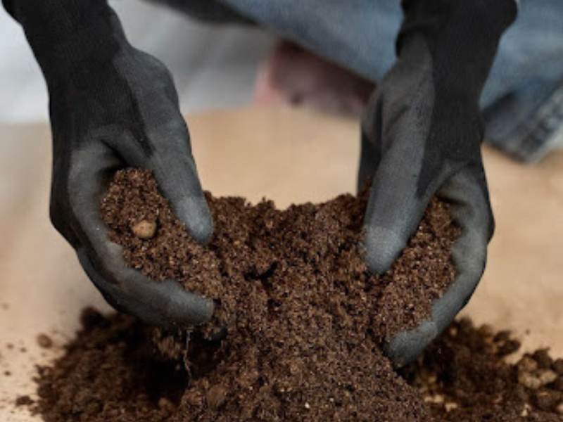 Laudo Geológico: Entenda a Importância Desse Documento Para a Segurança e Sucesso do Seu Projeto
