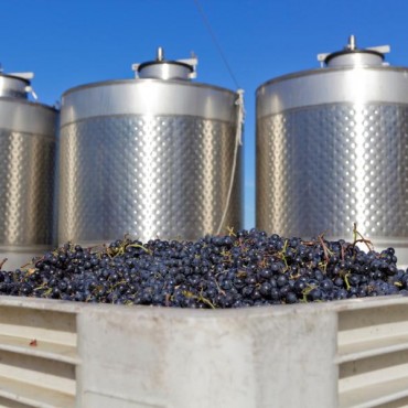 Indústria de Vinícolas