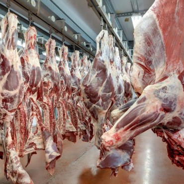 Indústria de Frigorífico